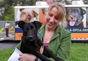Loudoun County Animal Services to host free adoption event May 19 | News |  