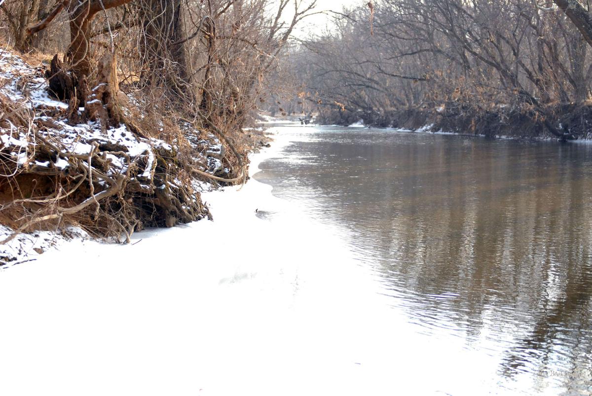 Environmental nonprofit launches multi-year effort to restore Goose Creek