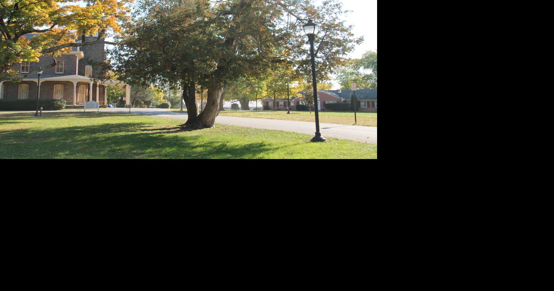 Nova Day School offers to take over Arc of Loudoun's Aurora School ...