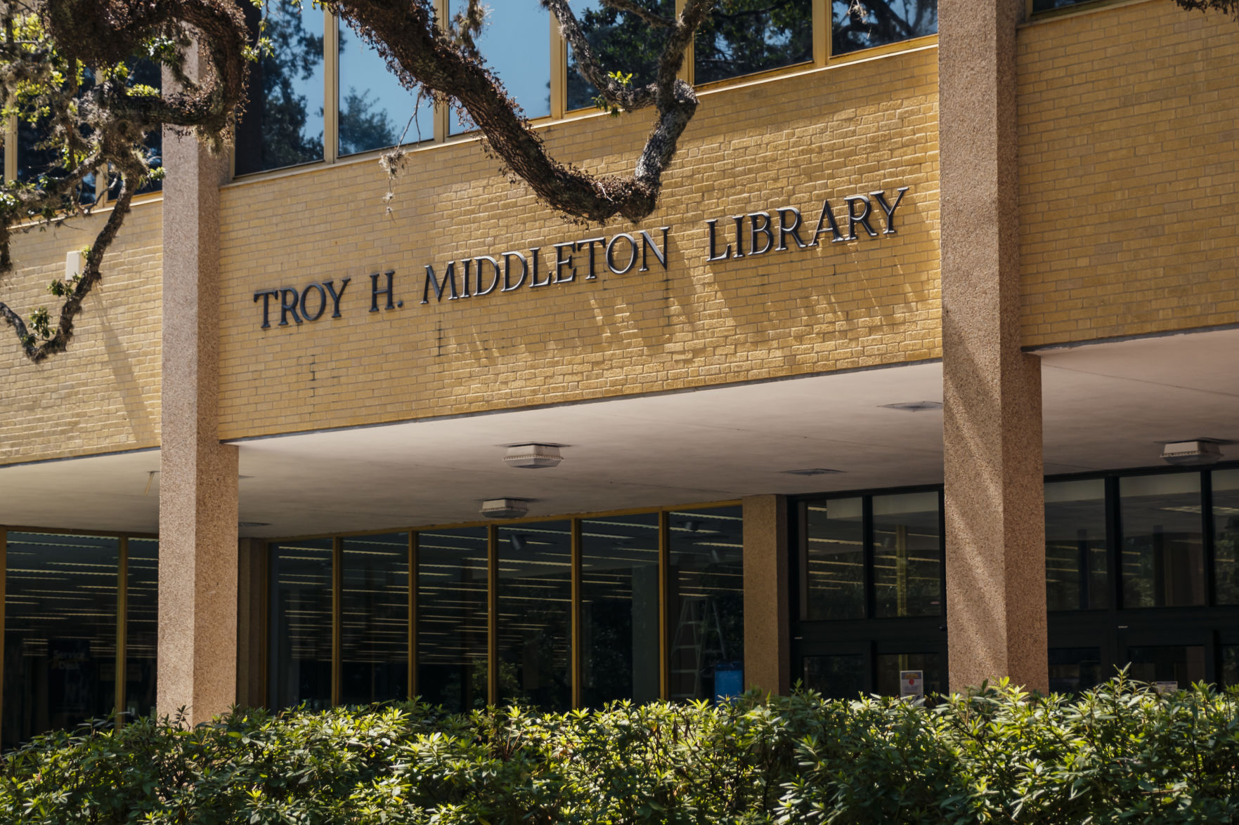 'LSU Library' Chosen As Interim Name For Main Library At LSU | News ...