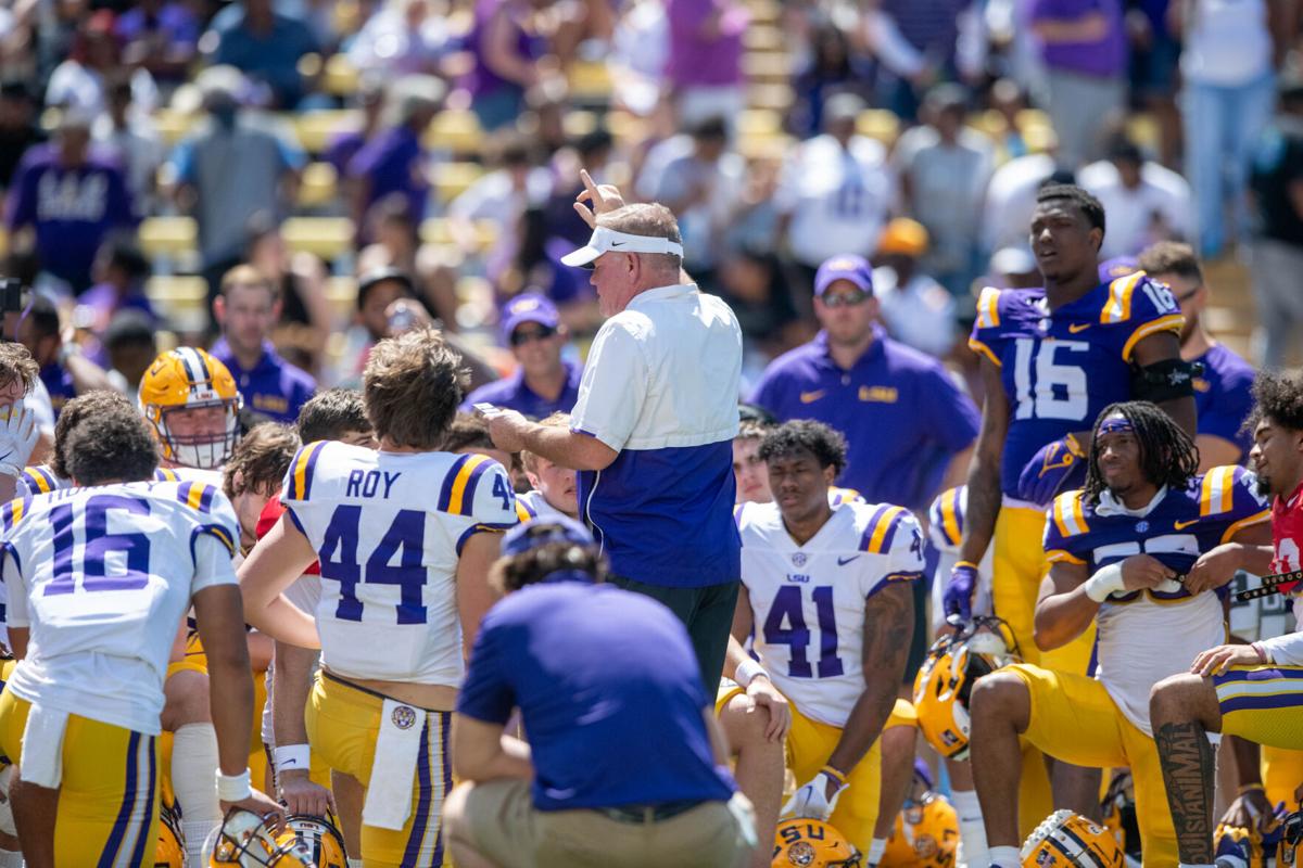 LSU football in search of experience and production for its defensive line  in the transfer portal | Sports | lsureveille.com