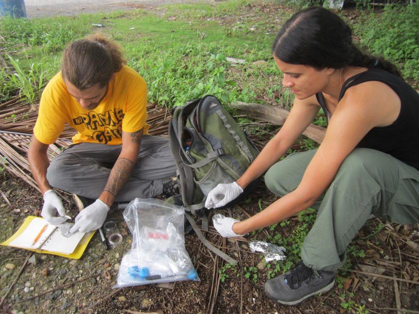 LSU professor studies virus-carrying mosquitoes, conducting research in New Orleans - The Reveille, LSU's student newspaper