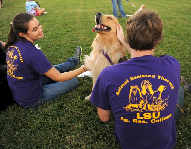 Lending A Paw: Animals try out for therapy program | News 