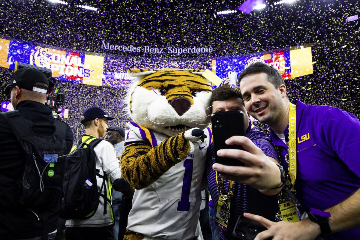 3 differences between Clemson and LSU's mascot