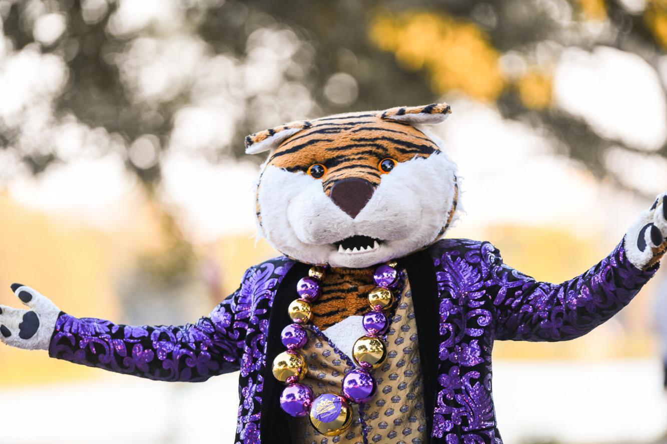 When was the LSU 2024 Parade? Multimedia