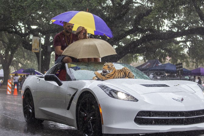 PHOTOS LSU Homecoming Parade Daily Lsureveille Com   5bcb763bd4c9f.image 