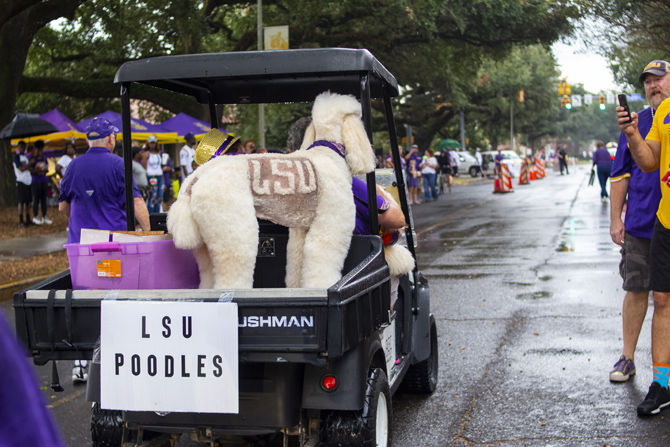 PHOTOS LSU Homecoming Parade Daily Lsureveille Com   5bcb7645d93a8.image 