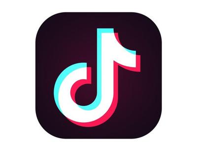 Opinion: TikTok creators should not be paid for their lack of originality,  creativity | Opinion | lsureveille.com