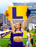 Lsu Tigers Football Fans Stay Victorious Prefer To Hate Anti-Bama