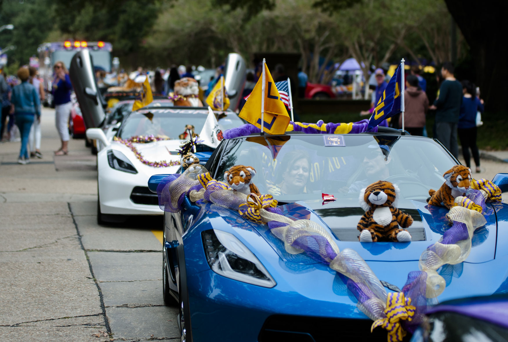 LSU Homecoming King Queen Reflect On Experiences Memories At LSU   5da21f9d7f41e.image 