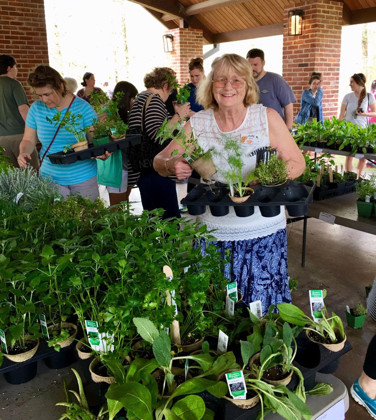 Herb Day educates visitors about uses and benefits of herbs Daily