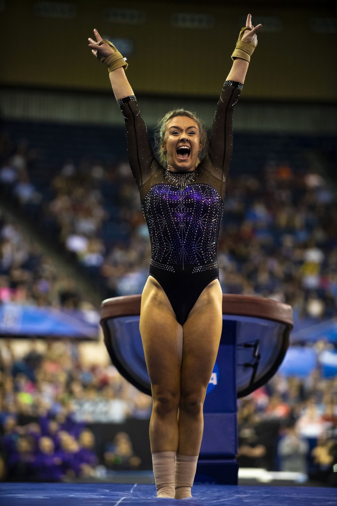 Lsu Gymnastics Places Second In The 2019 Ncaa Women S Gymnastics Championships Daily