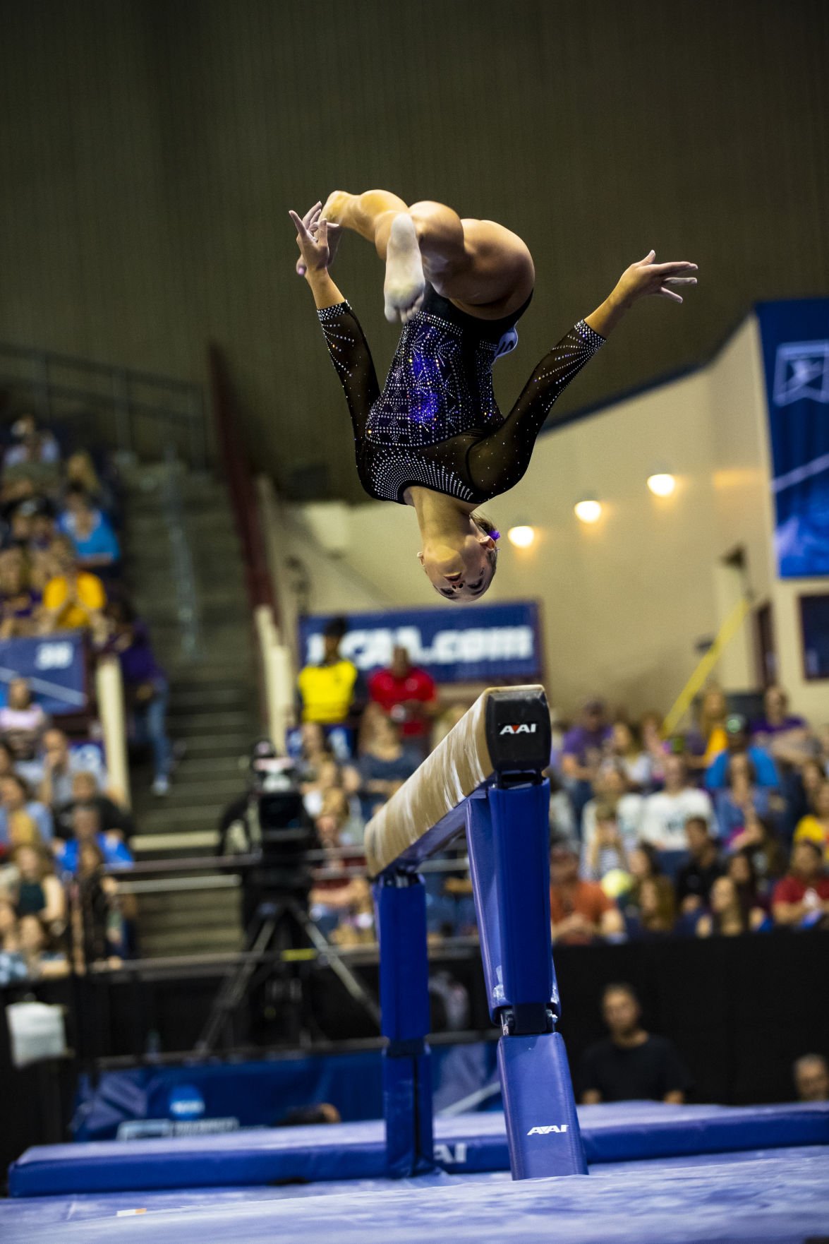 Lsu Gymnastics Places Second In The 2019 Ncaa Women’s Gymnastics Championships Daily