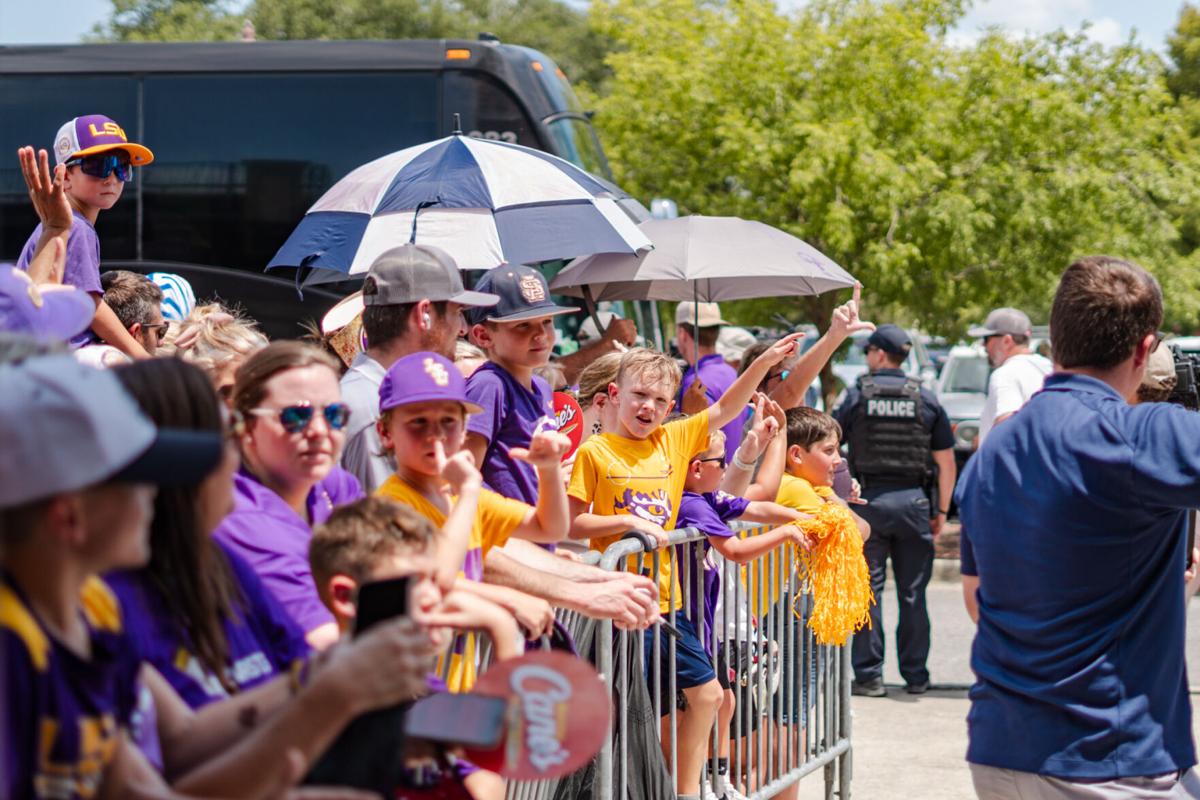 Fans welcome back LSU baseball national champions