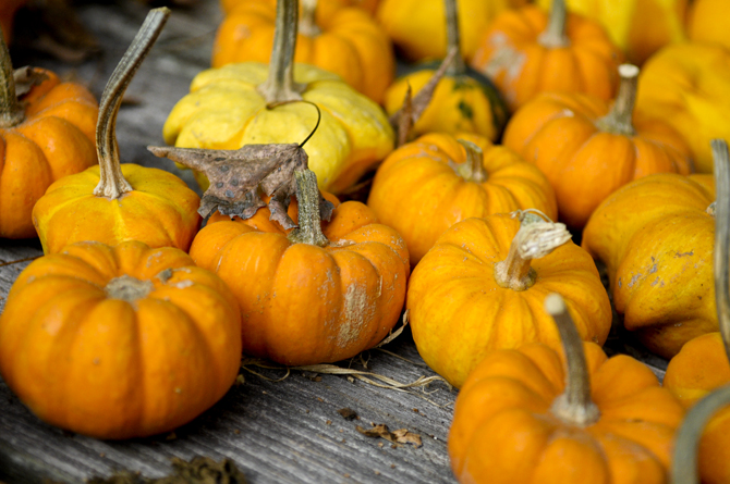 Local church holds fourth annual pumpkin carving fundraiser ...