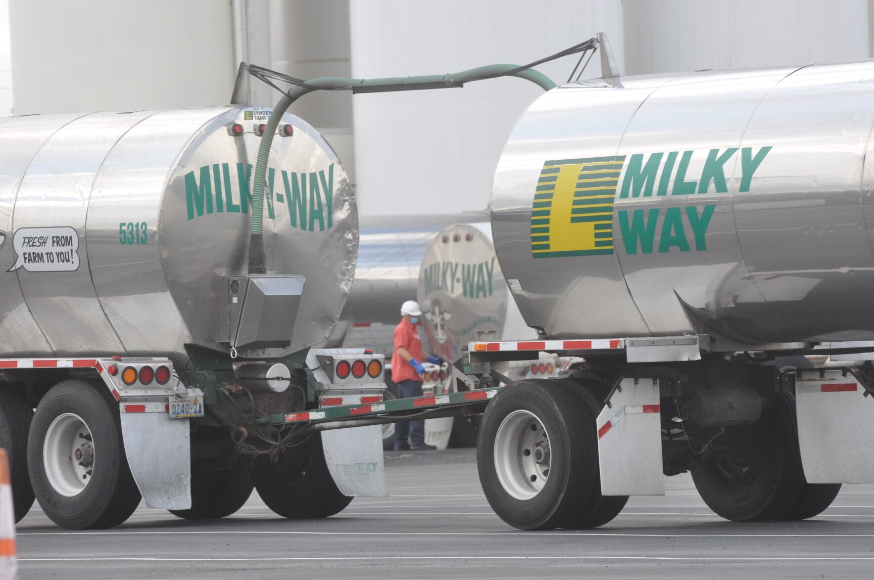 Feeding Mars Logistics in Western… Amazon.com: Feeding Mars: Logistics In Western Warfare From