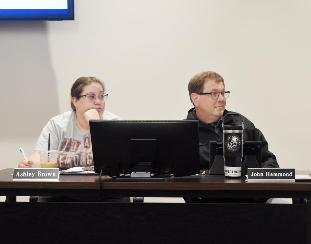 Everson council approves purchase of Stickney Island property