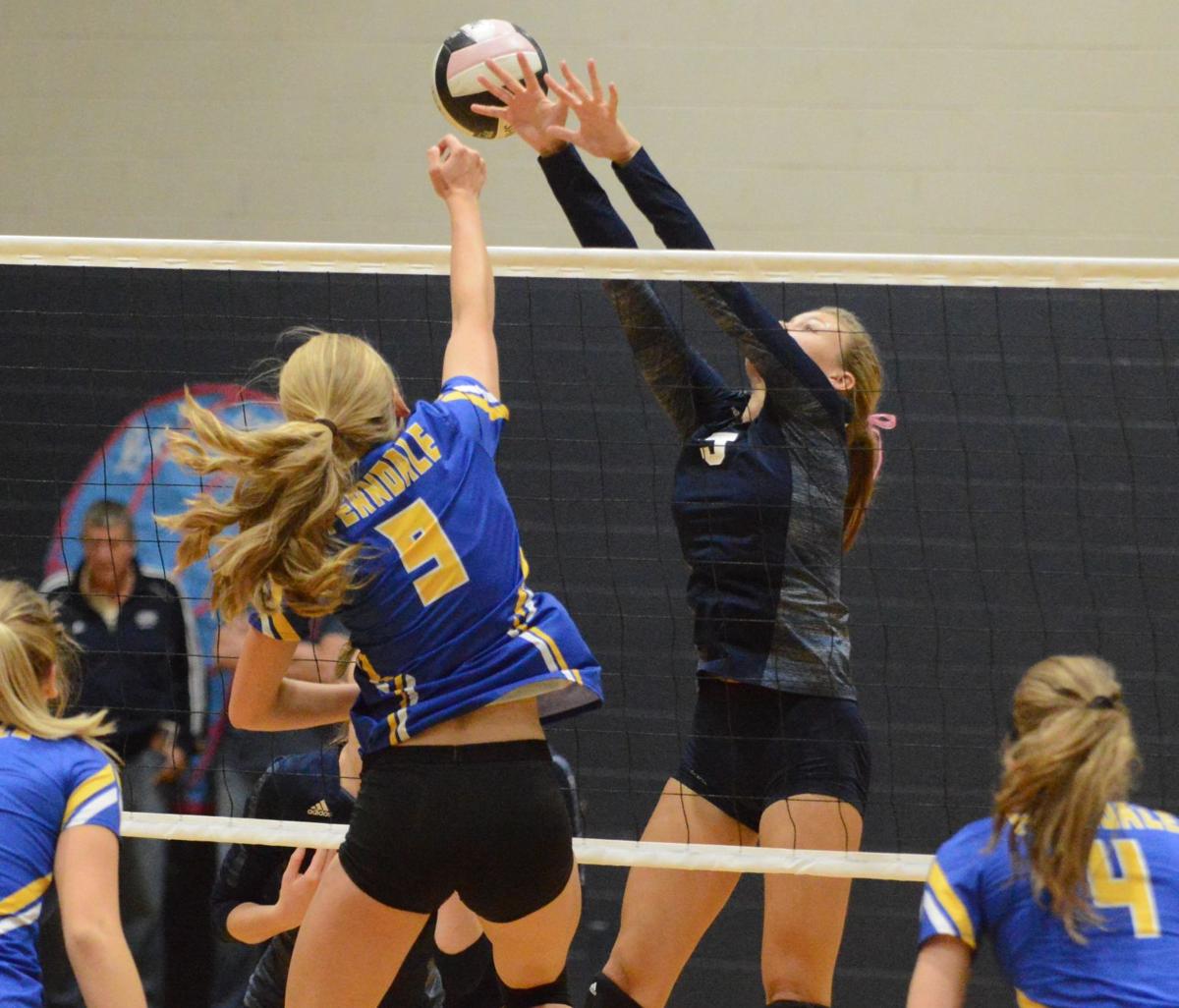 Lynden Christian volleyball falls to undefeated Ferndale in NWC