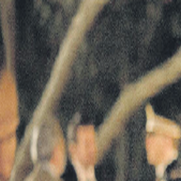 The East' offers thrills, moral dilemmas | Arts And Entertainment |  lyndentribune.com, image size:1200x1200