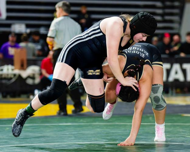 Eight wrestlers from schools participate in WIAA Mat Classic