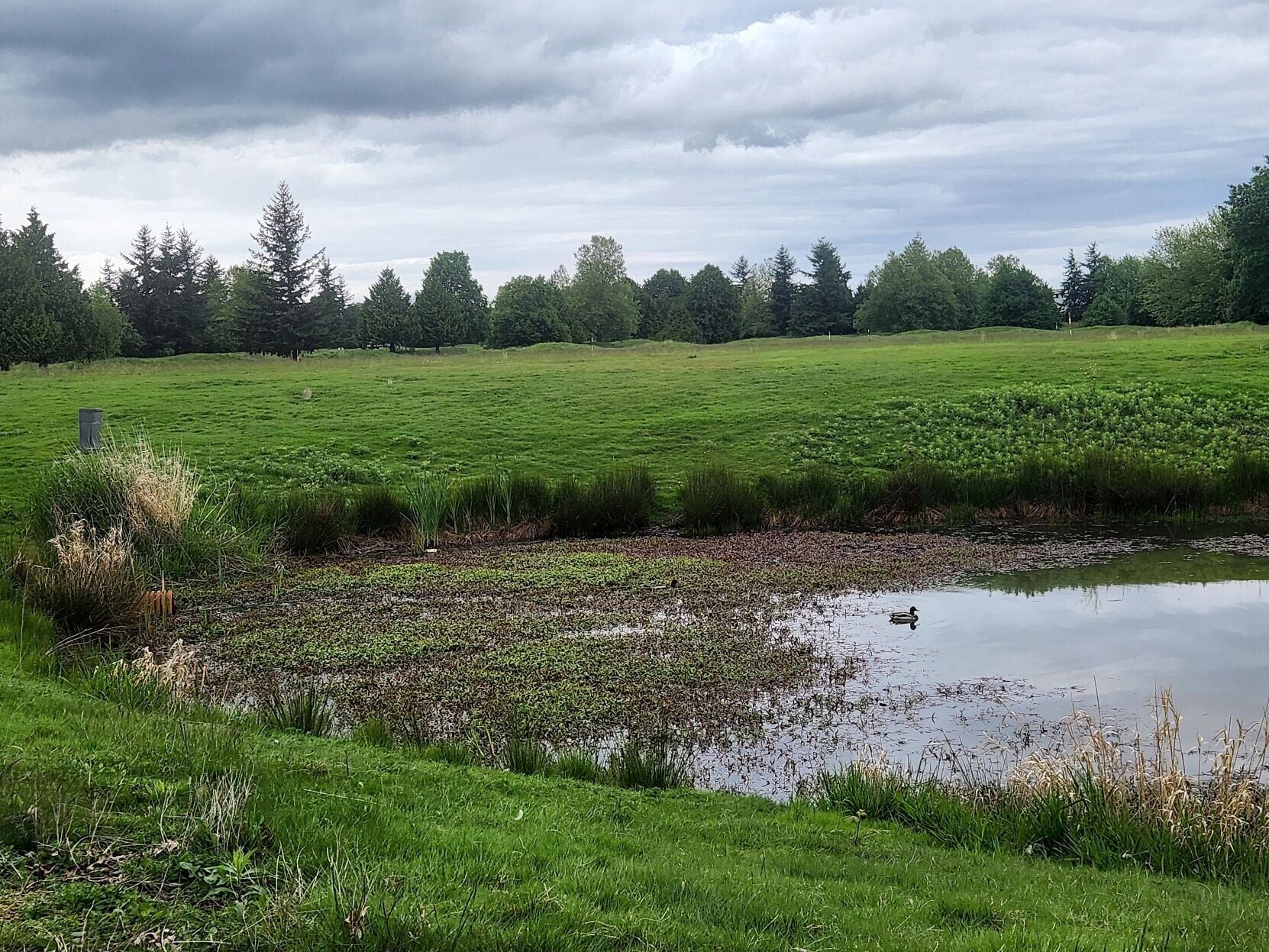 HOMESTEAD: Judge says MJ Management can collect back dues | News ...