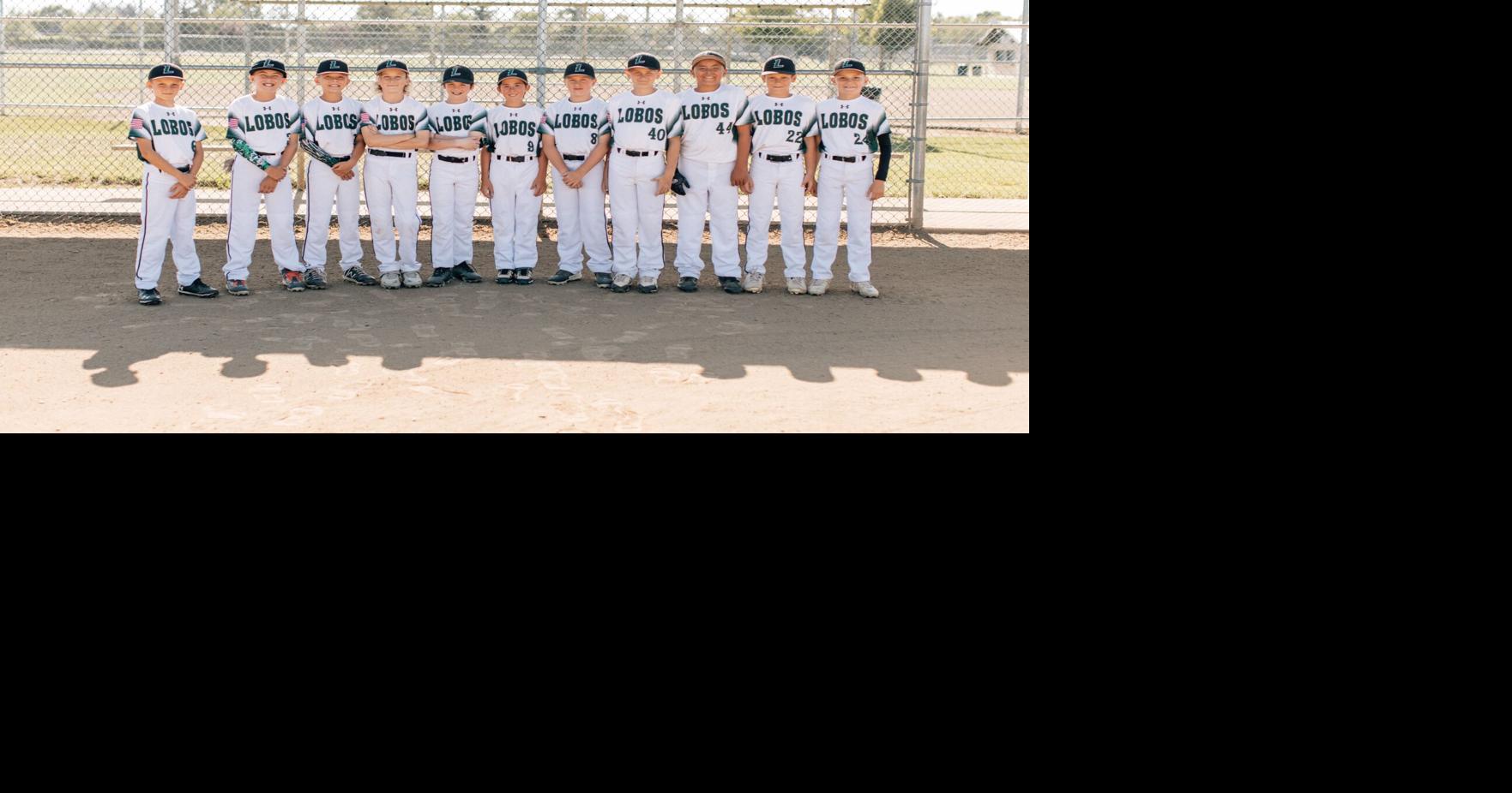 Three Lynden Cal Ripken teams heading to state | Sports | lyndentribune.com