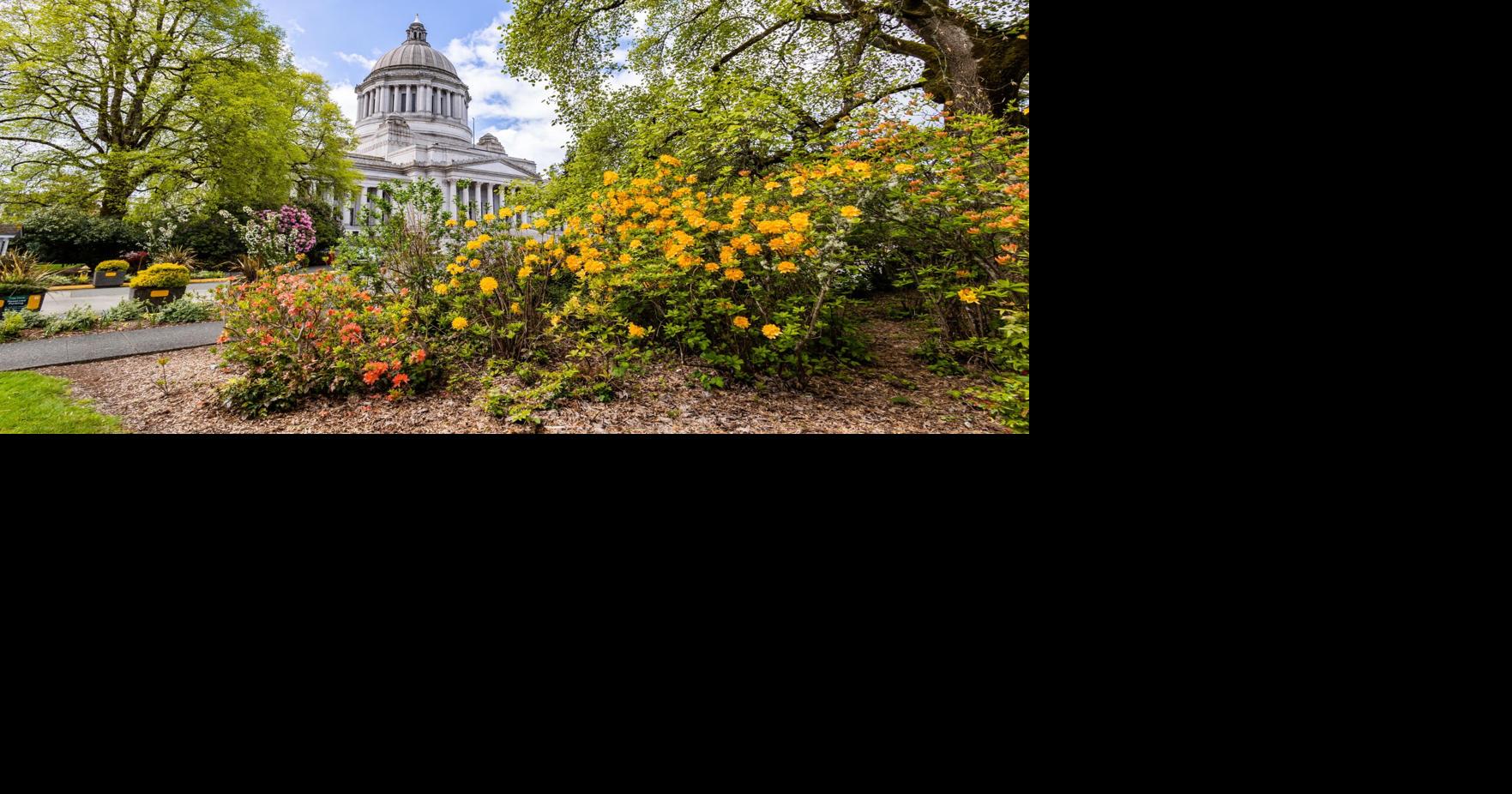 State senators recognize Iranian holiday ‘Nowruz’