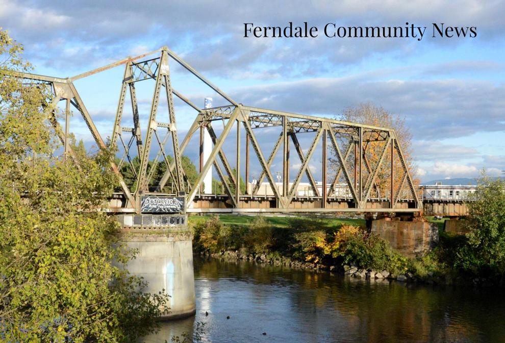 Ferndale seeks input on Safety Action Plan