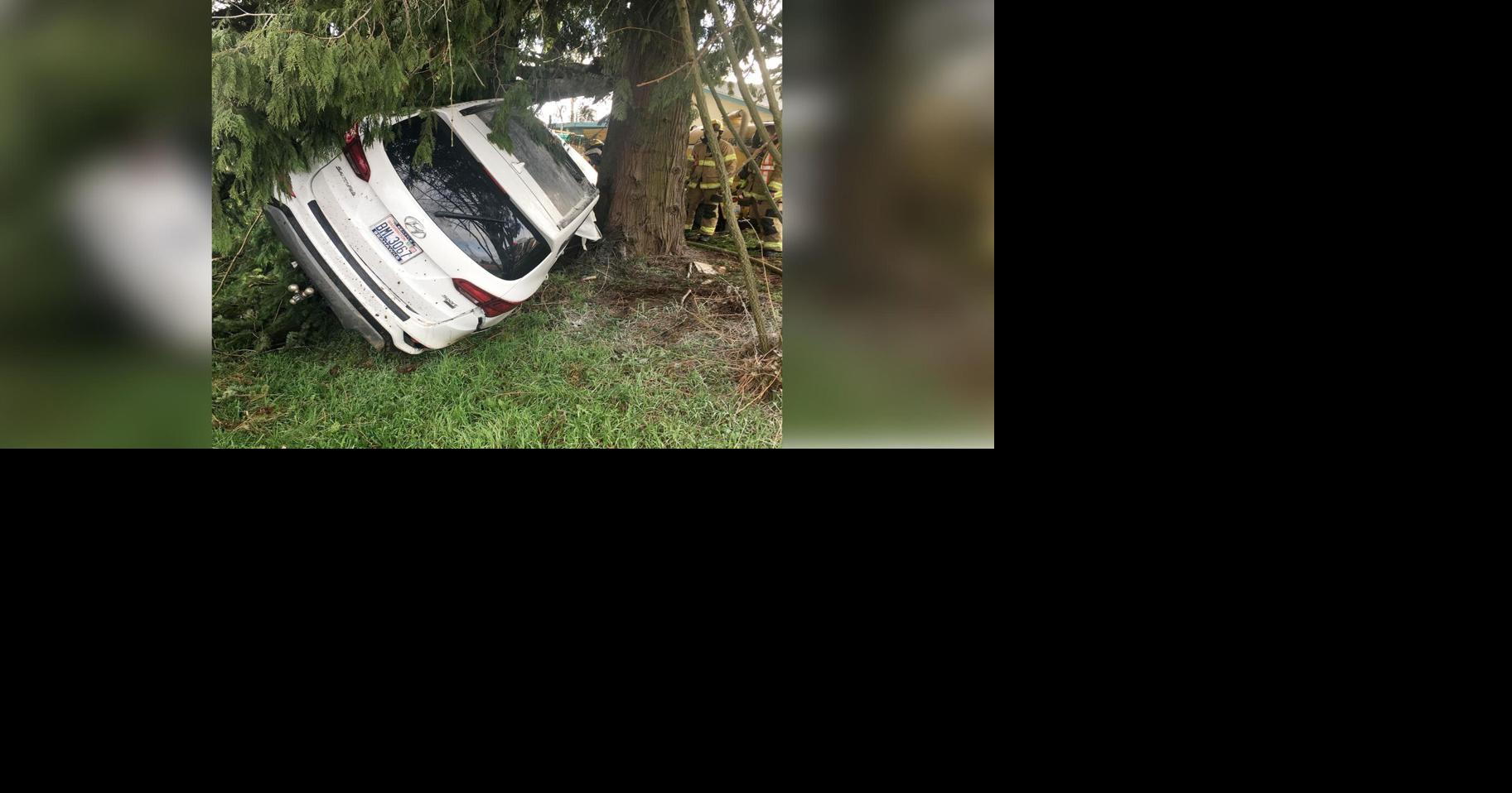 Motorist injured in collision with tree | News | lyndentribune.com