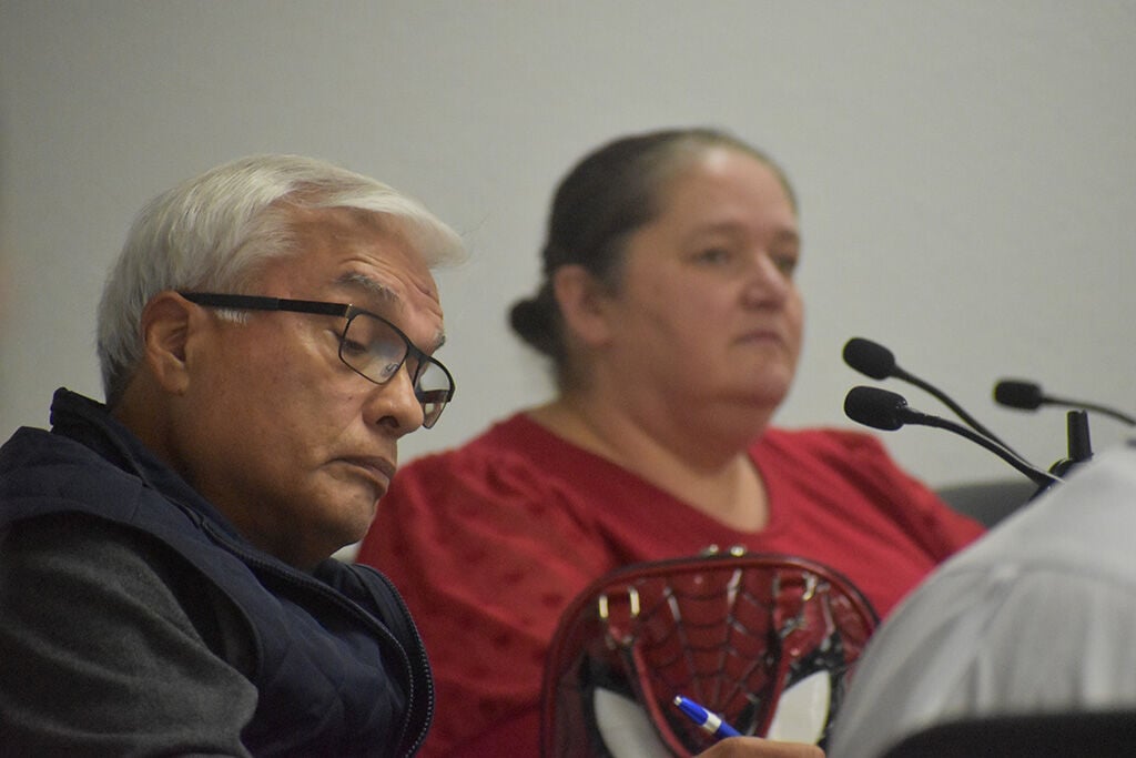Nubgaard, Church Road areas move forward with annexations | Ferndale ...