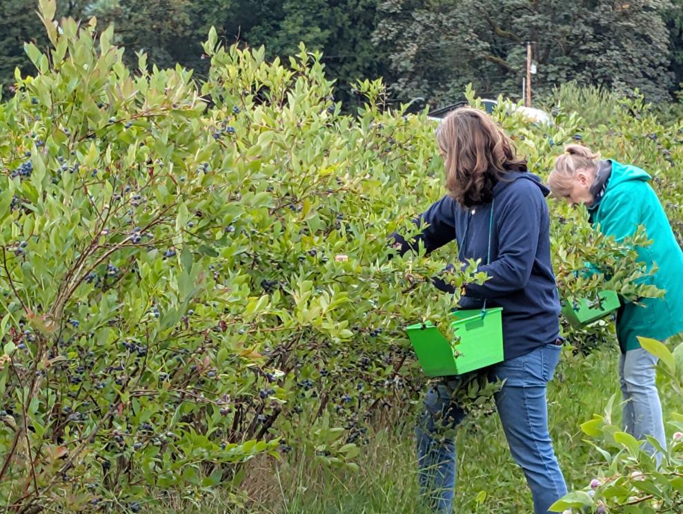 CTK Farm saves food and feeds community