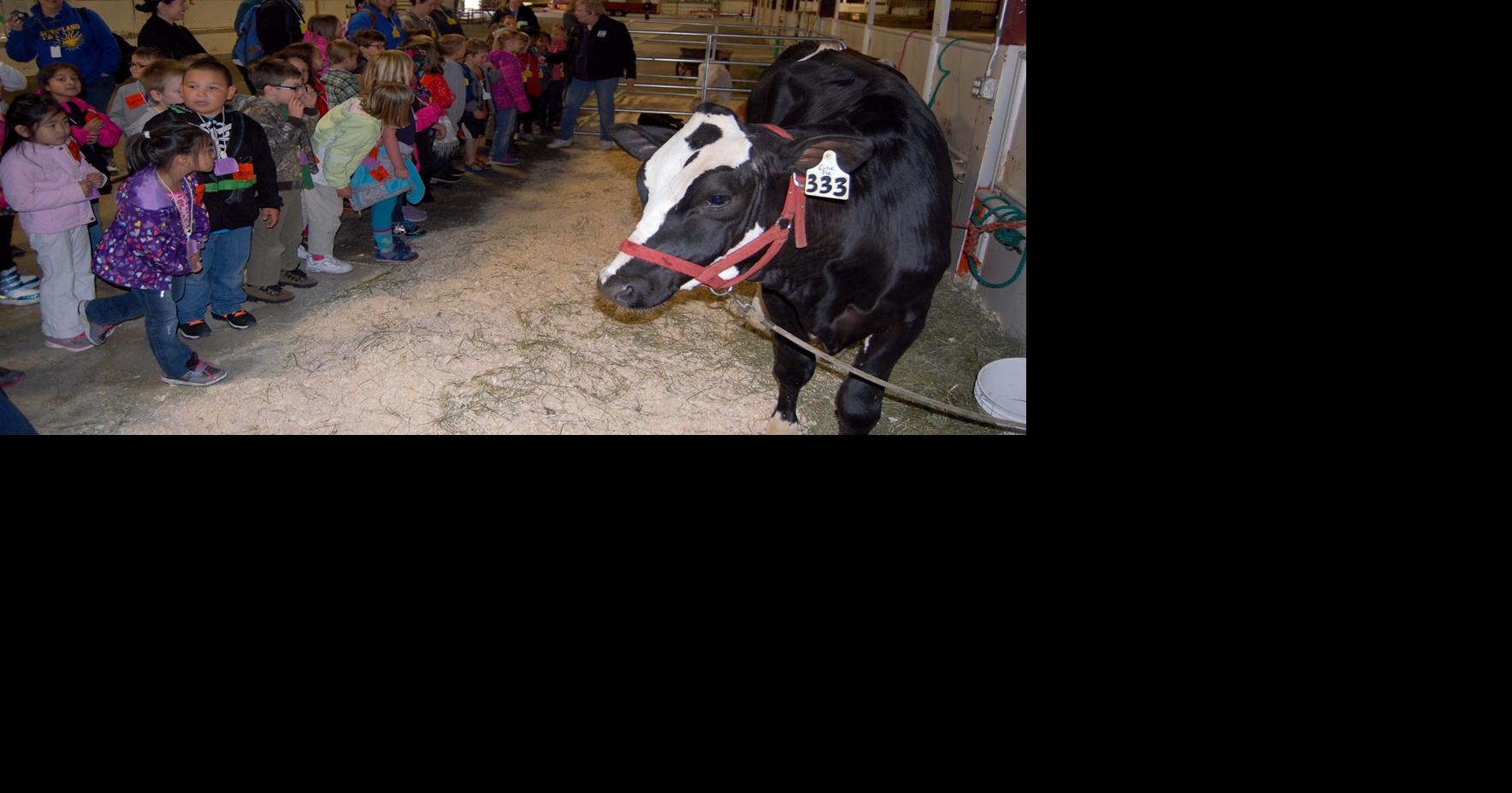 UPDATE: Milk Makers Fest case settles out of court | News ...