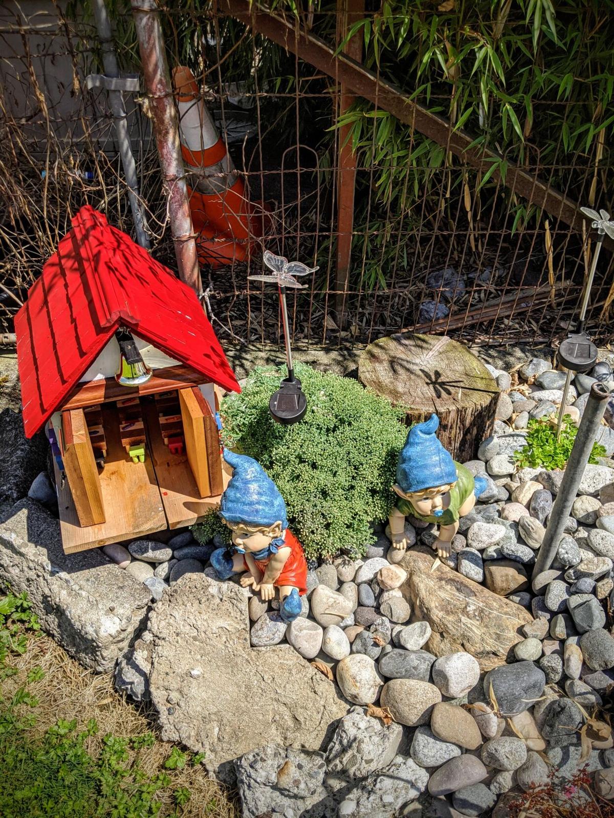 COVID Gnome Village Appears In Everson Community Lyndentribune