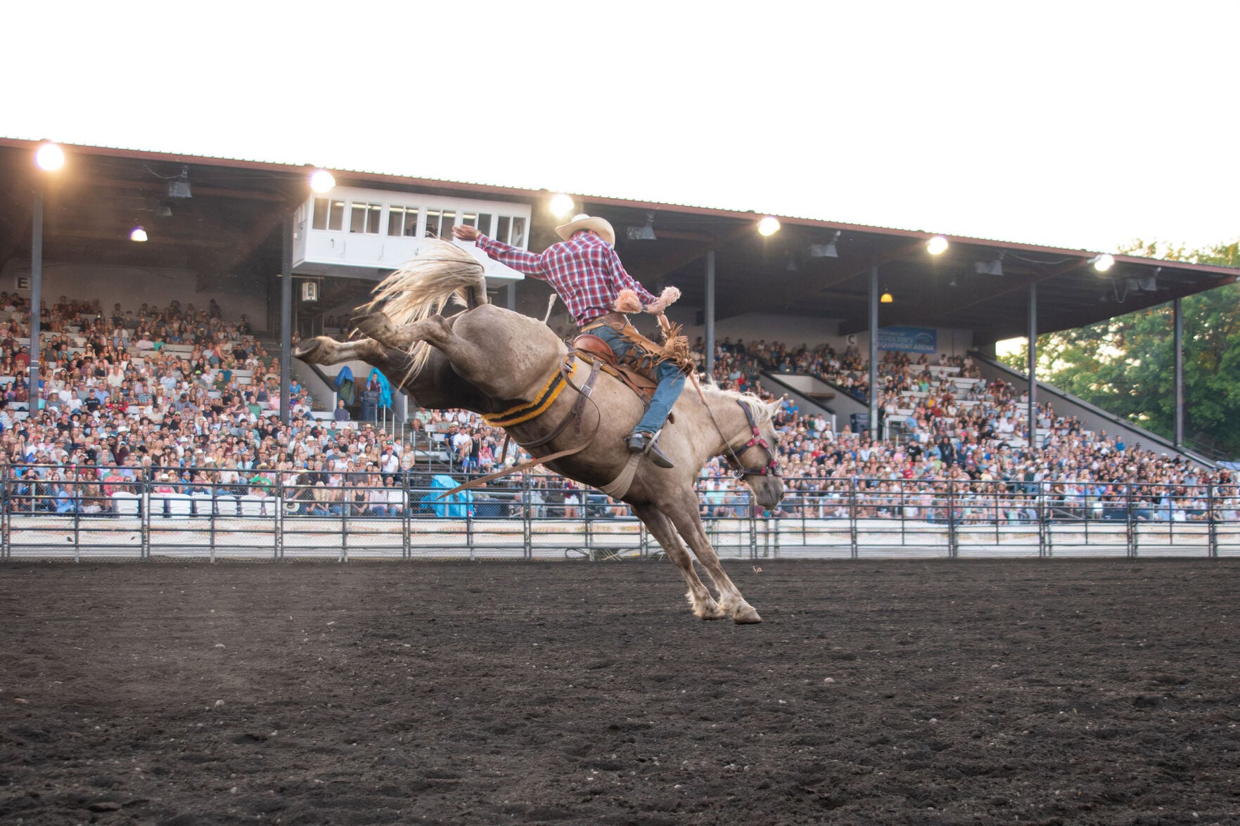 Professional rodeo cowboy performing in the Scholten's Equipment Arena at the Northwest Washington Fair