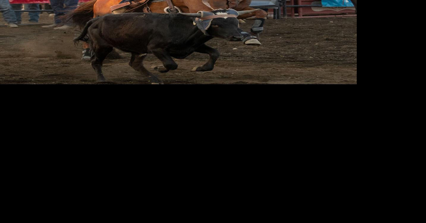 High scores thrill fans at 2025 Lynden Rodeo | Sports | lyndentribune.com