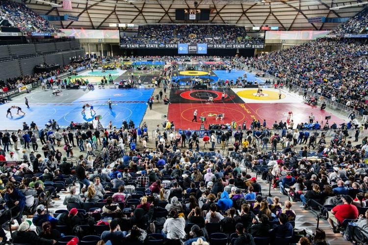 Eight wrestlers from schools participate in WIAA Mat Classic