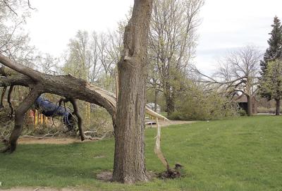 Tree falls over playground equipment