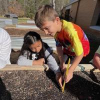 Colbert Elemetry Early ag education at Colbert Elementary | Features | mainstreetnews.com