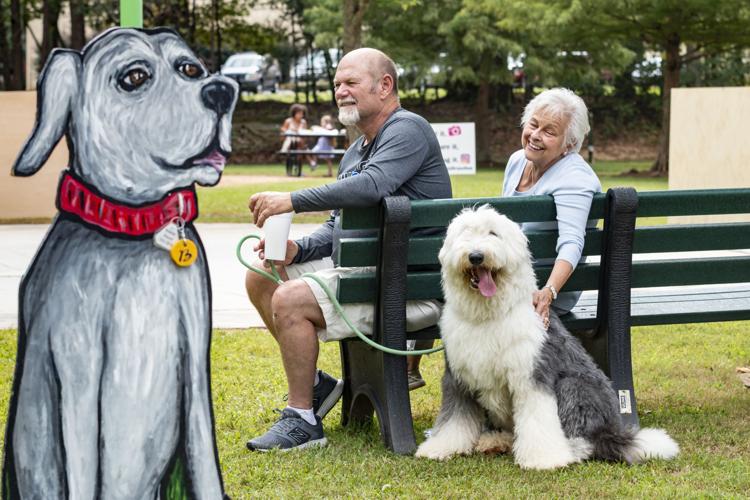Pooches in the Park held in Braselton Features