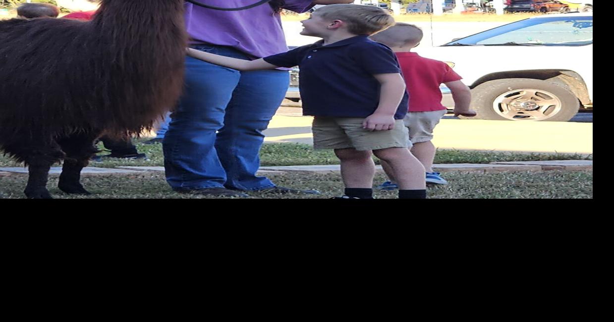 Love of Llamas visits Redstone’s Children’s Academy for barnyard week