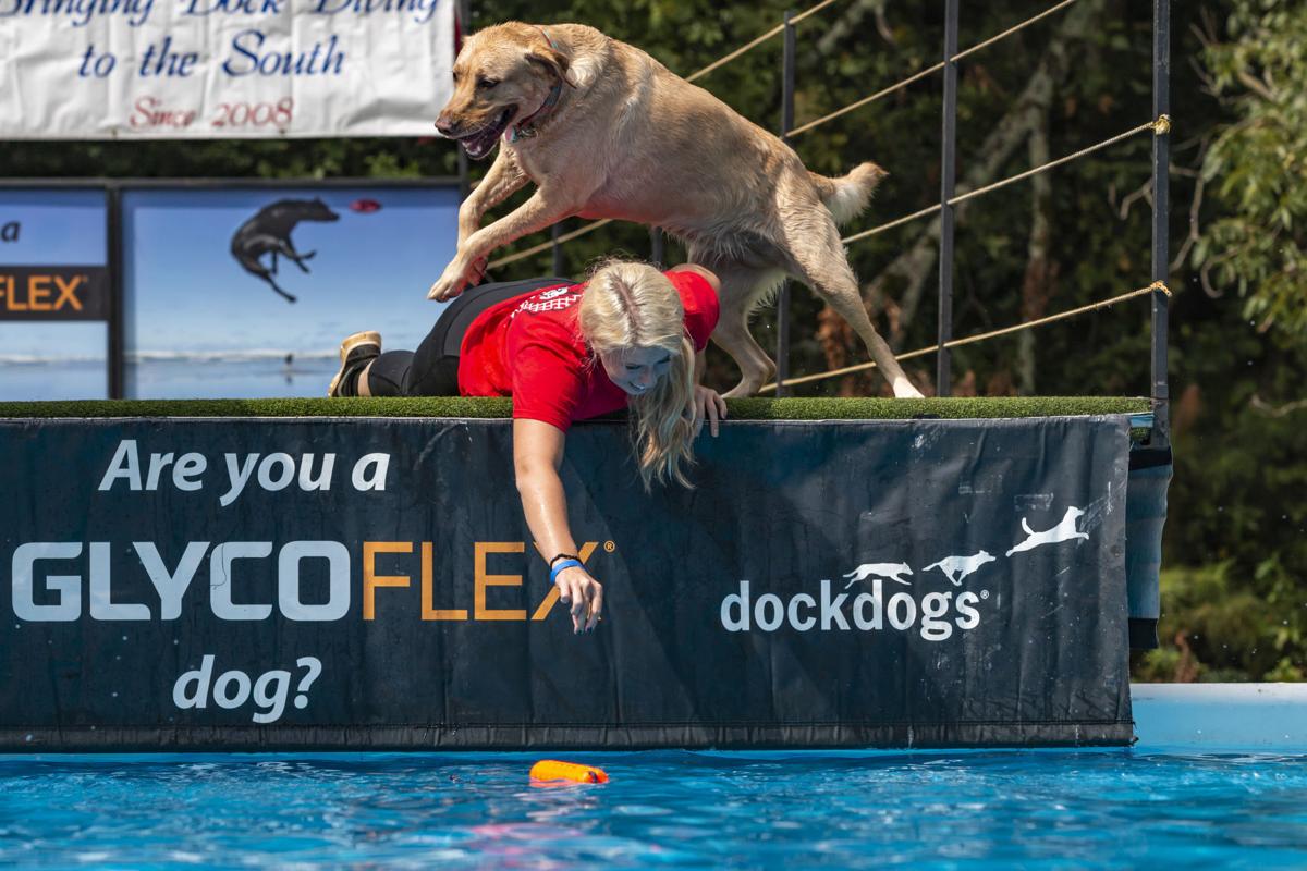Go fetch