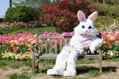 Easter Bunny to visit Statham