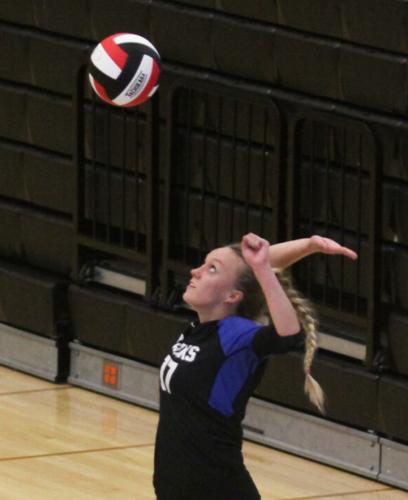 Volleyball: Lady Leopards win four matches against Lakeview, Stephens ...