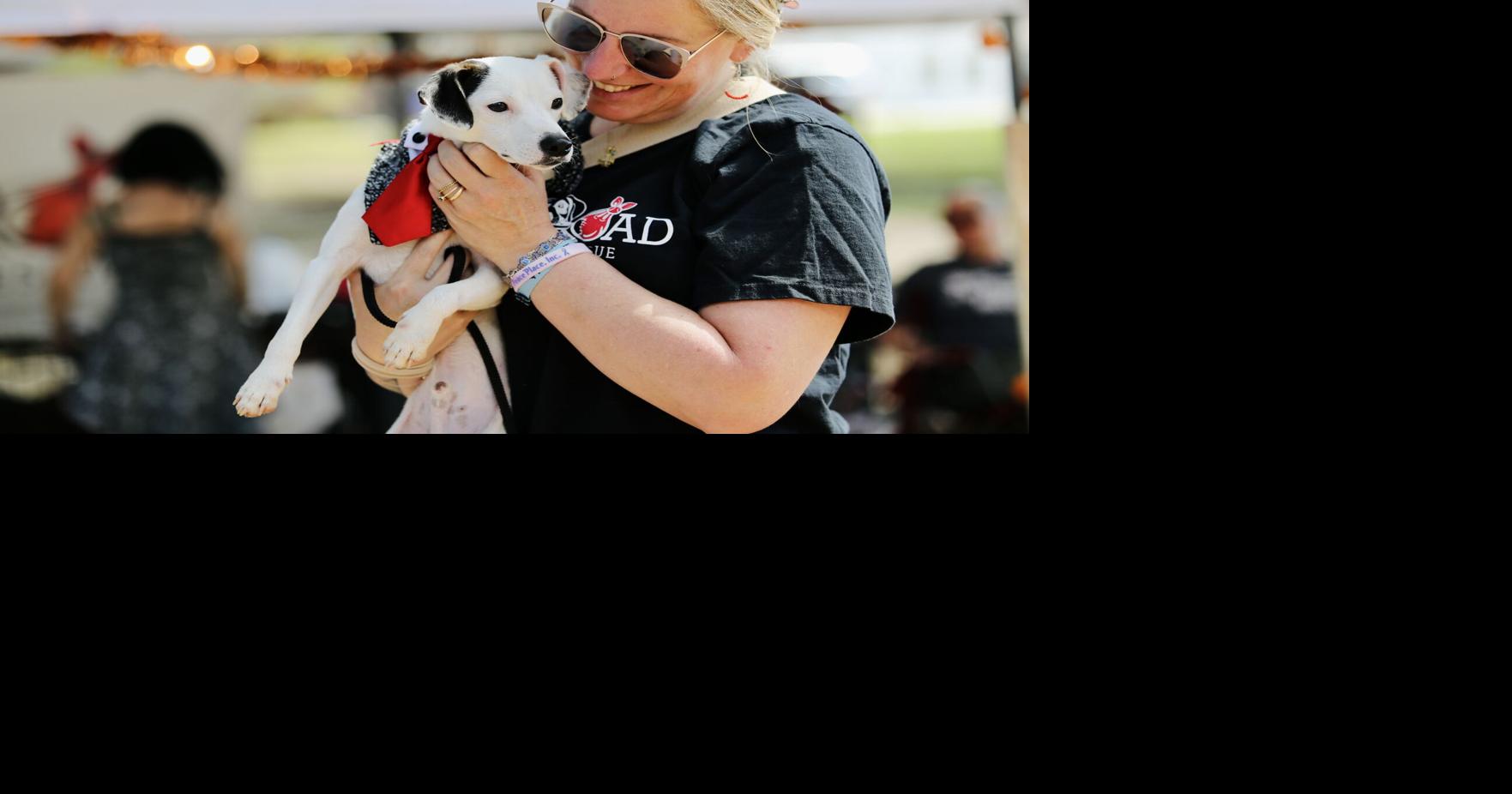PHOTOS Braselton hosts Pooches in the Park Features
