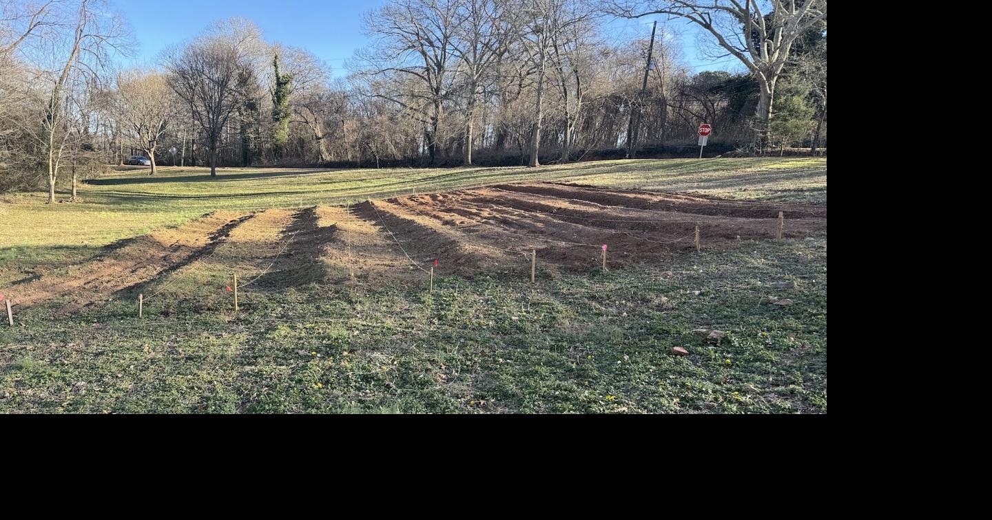 Cresswind butterfly club creating monarch sanctuary in downtown Hoschton
