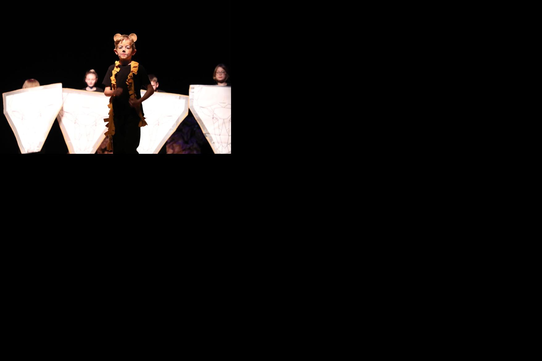 Lion King