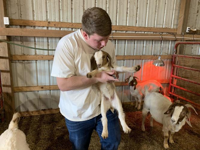 Madison County FFA shines at Virtual FFA State Convention