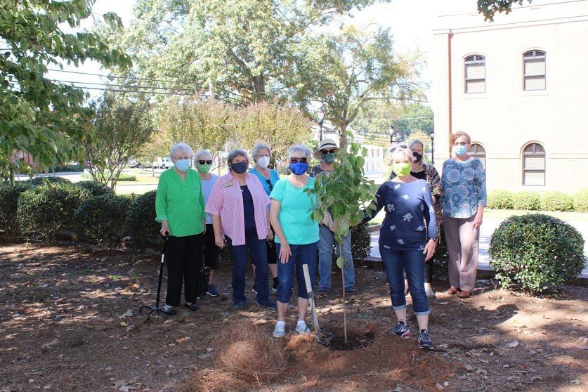 Trees planted in honor of Jacob Braselton