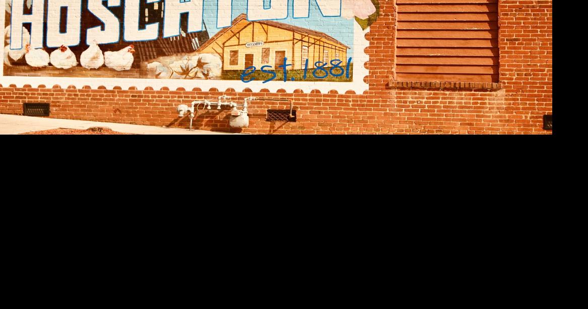 City of Hoschton announces qualifying for special elections News