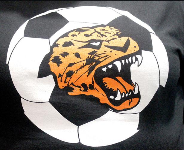 MHS soccer logo pic.jpg